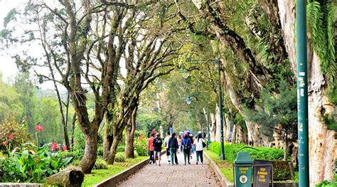 quotes about baguio city|Baguio City In A Nutshell: 5 Amazing Reasons Why .